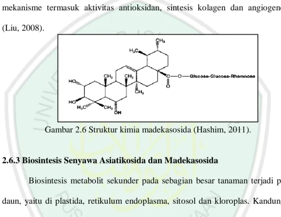 Gambar 2.6 Struktur kimia madekasosida (Hashim, 2011). 