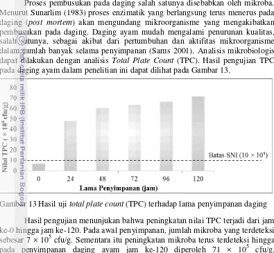 Gambar 13 Hasil uji total plate count (TPC) terhadap lama penyimpanan daging  