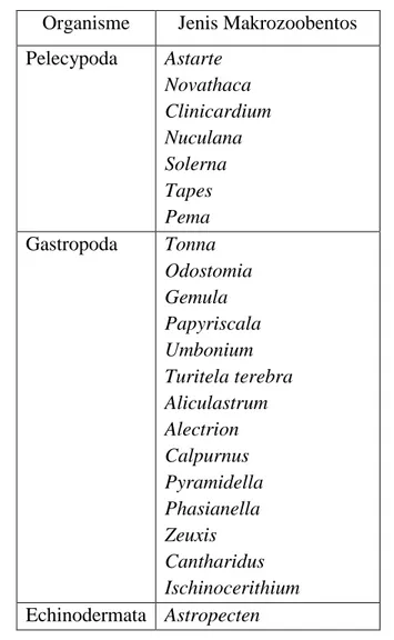 Tabel 2. Jenis – jenis makrozoobentos yang ditemukan diperairan Teluk Jakarta    (Sidauruk, 2001) : 