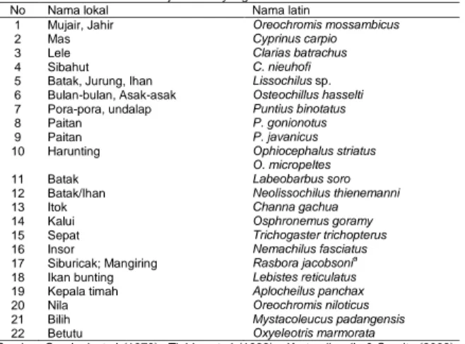 Tabel 1.  Jenis-jenis ikan yang terdata di Danau Toba  No  Nama lokal  Nama latin 