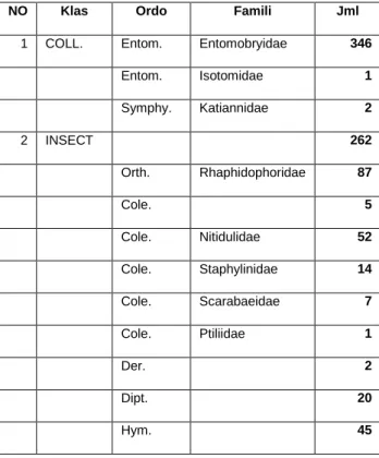 Tabel 6. Daftar hasil pengumpulan serangga dan Collembola  