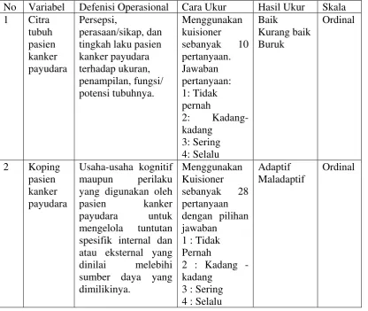 Tabel 3.3 Defenisi operasional variabel 