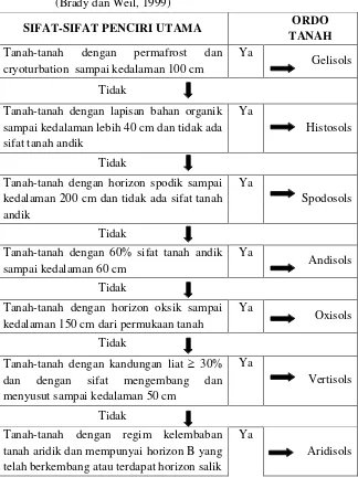 Tabel 3.1.  Kunci utama penentuan ordo tanah menurut Soil Taxonomy  