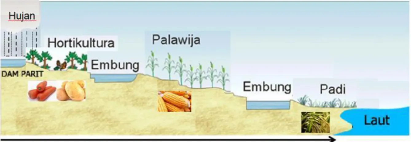Gambar 2. Konsep panen air bertingkat untuk produksi pangan  Aliran  air  irigasi  ke  lahan-lahan 
