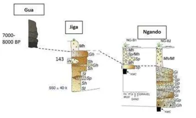 Gambar 10. Korelasi stratigrafi antara GuaKidang dan teras Bengawan Solo (modifikasi dariIndriati, 2011)