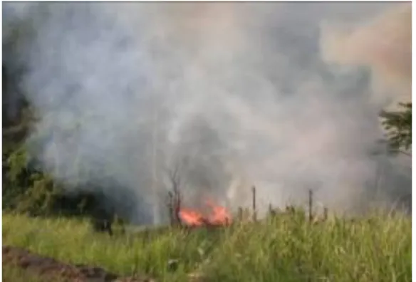 Gambar 5.5. Kebakaran hutan 