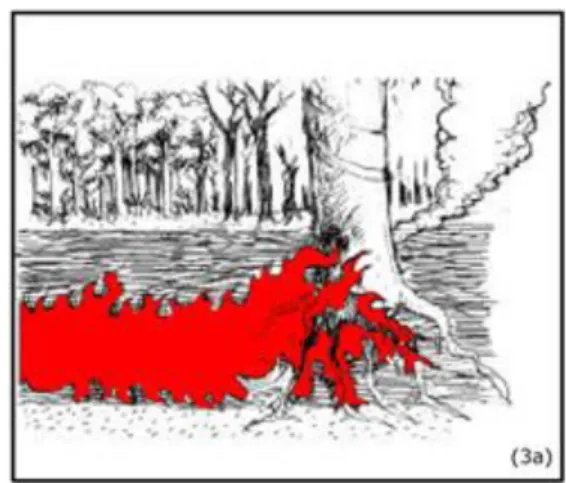Gambar 5.2.  Kebakaran bawah 