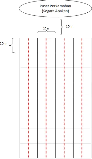 Gambar 2. Desain Plot Line Transect 