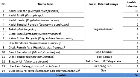 Tabel 1. Jenis-jenis Herpetofauna Yang Ditemukan di CA Pulau Sempu (2014) 