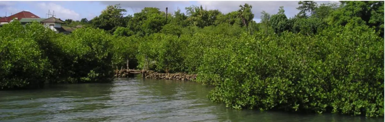 Gambar Gambar 5.8  Hutan Mangrove Kota Denpasar. 