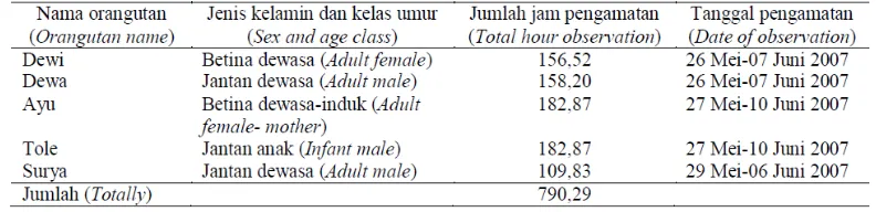 Tabel 1. Jumlah jam pengamatan orangutan di Mentoko, TN Kutai 