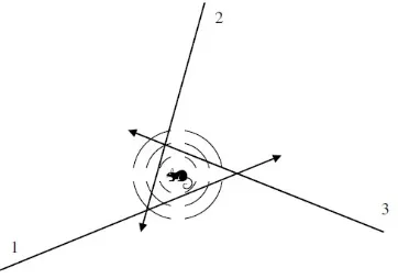 Gambar 2. Triangulasi dari lokasi satwa menggunakan 3 bearing radio telemetri