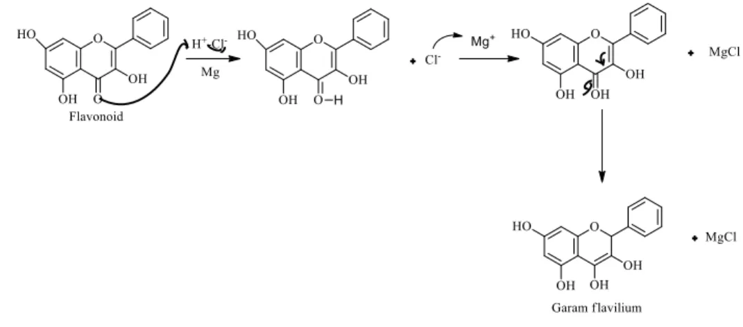 Gambar 1. Reaksi uji flavonoid  