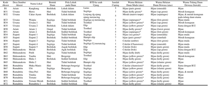 Tabel 2. Karakteristik morfologi daun pada ubi jalar lokal asal Kabupaten Seram Bagian Barat hasil karakterisasi ex situ 