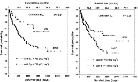 Table VI. Univariate survival analyses of squamous cell and adenocarcinoma.