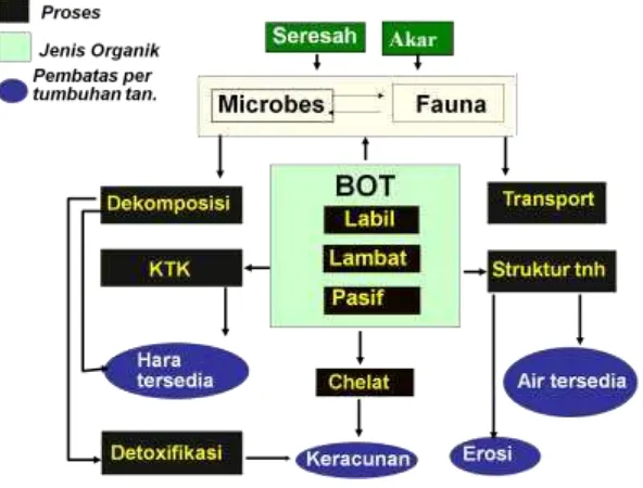 Gambar 8. Hubungan antara Bahan Organik Tanah dan Pembatas Pertumbuhan Tanaman 