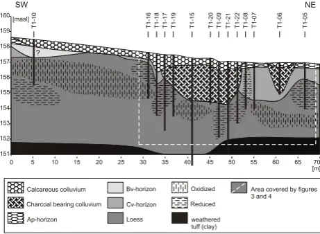 Figure 3. Cross section of reconstructed soil layers of a slope in the Pleiser Hügelland near Bonn (Löwner et al., 2005)  