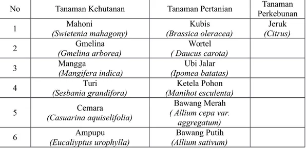 Tabel 1. Jenis Tanaman Agroforestry