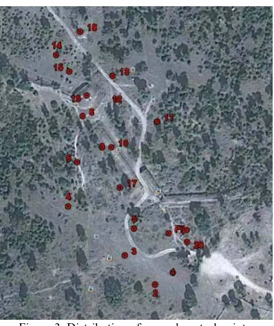 Figure 4. Layout of Photogrammetry Workbench software. 