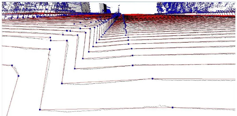 Figure 5: An example of the polyline approximating the scan line. Polylines are colored red