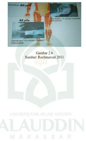 Gambar 2.6  Sumber: Rochmawati 2011 