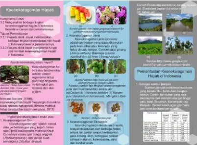 Gambar 1. Tampilan Media Leaflet Keanekaragaman Hayati dari Buah Dadamuk,Kariampuk dan Menjalin Tampak Depan Sebelum Dilipat