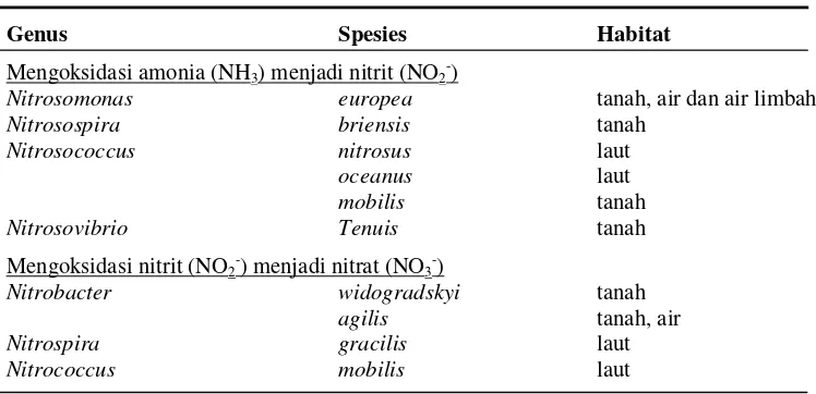 Tabel  2.   Daftar Bakteri Pengoksidasi Nitrogen 