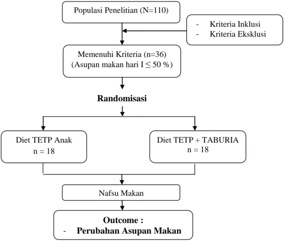 Gambar 6. Alur Penelitian 