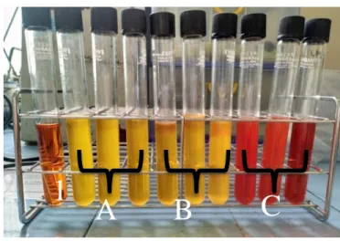 Gambar 1. Hasil Uji Koliform 