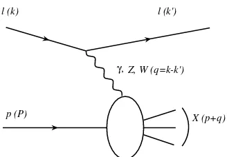 Gambar 3.1: Skema proses deep inelastic scattering dengan partikel datang beru-pa lepton (e,µ,ν) dan target berupa nukleon.