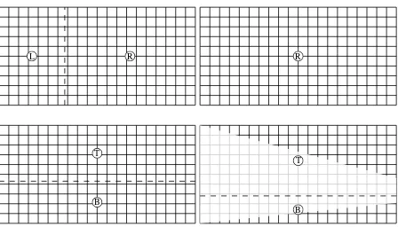 Figure 3: Resampling Geometry of the Radial Images. Pixel cen-ters correspond to grid line crossings.