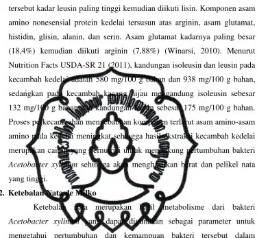 Tabel 4.2 Ketebalan Nata de Milko 