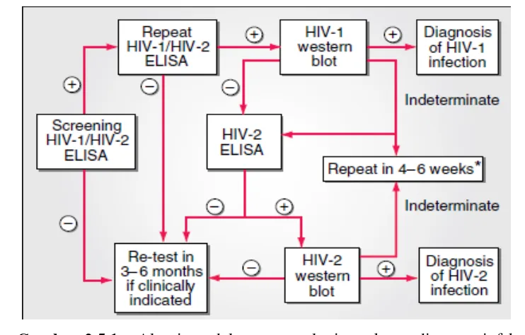 Gambar 2.5.1 – Algoritma dalam tes serologi untuk mendiagnosa infeksi HIV-1 