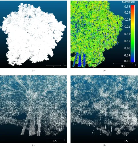Figure 3: (a) The raw point cloud data of the tree with scale bar 1 m. (b) The curvature estimation of the raw data, scale bar showsin 0.9 m, color various according to the curvature, which ranged from 0 to 0.33