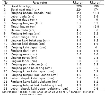 Tabel 5  Ukuran tubuh anak kancil 