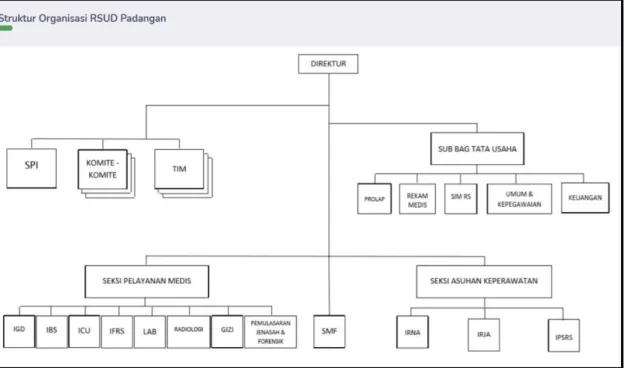 Gambar 2.2 Struktur Organisasi Rumah Sakit 