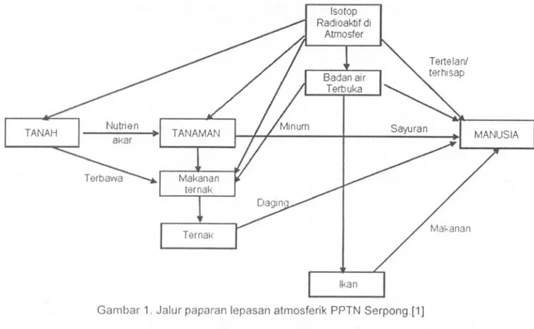 Gambar 1. Jalur papa ran lepasan atmosferik PPTN Serpong.[1]