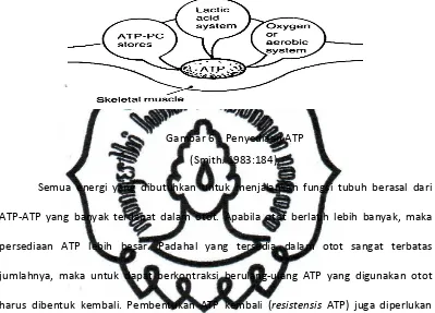 Gambar 6 :  Penyediaan ATP 