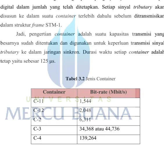 Tabel 3.2  Jenis Container  Container  Bit-rate (Mbit/s) 