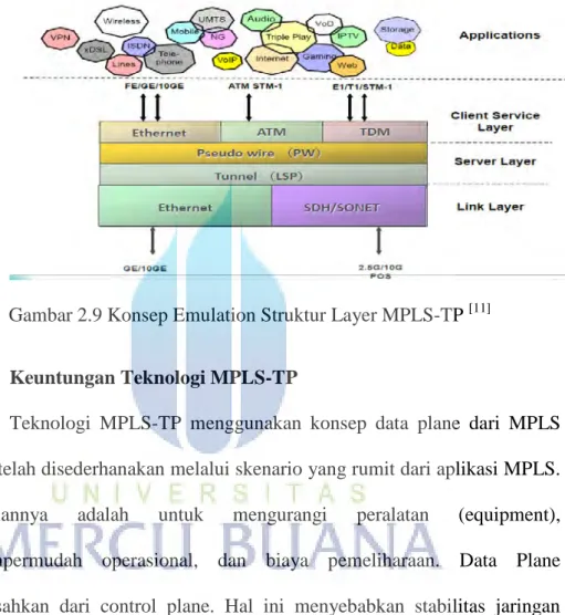 Gambar 2.9 Konsep Emulation Struktur Layer MPLS-TP  [11]