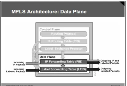 Gambar 2.12. Arsitektur Data Plane (Lobo, MPLS Configuration on Cisco IOS  Software, 2005) 