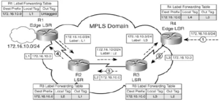 Gambar 2.13. LSR dan E-LSR (Lobo, MPLS Configuration on Cisco  IOS Software, 2005) 