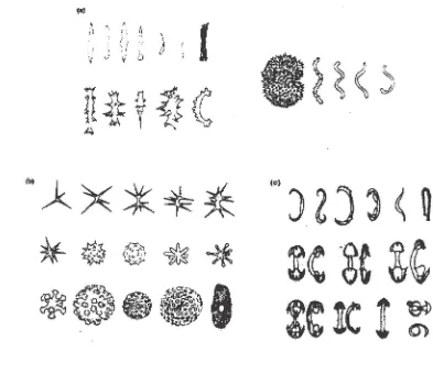 Gambar 2.7. (a) mikrosklera monoaxon; (b) mikrosklera bentuk bintang; 