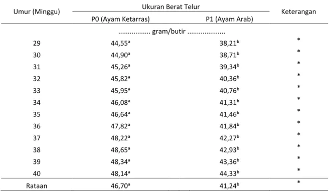 Tabel 6. Rataan ukuran berat  telur ayam Ketarras dan ayam Arab selama penelitian 