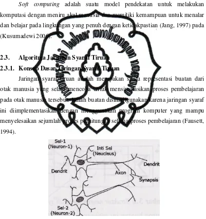 Gambar 2.4. Jaringan syaraf biologis. 