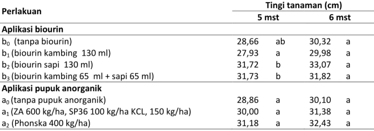 Tabel 2. Pengaruh Mandiri  Pemberian biourindan Pupuk Anorganik terhadap Tinggi tanaman  (cm) pada Umur 5 dan 6 mst