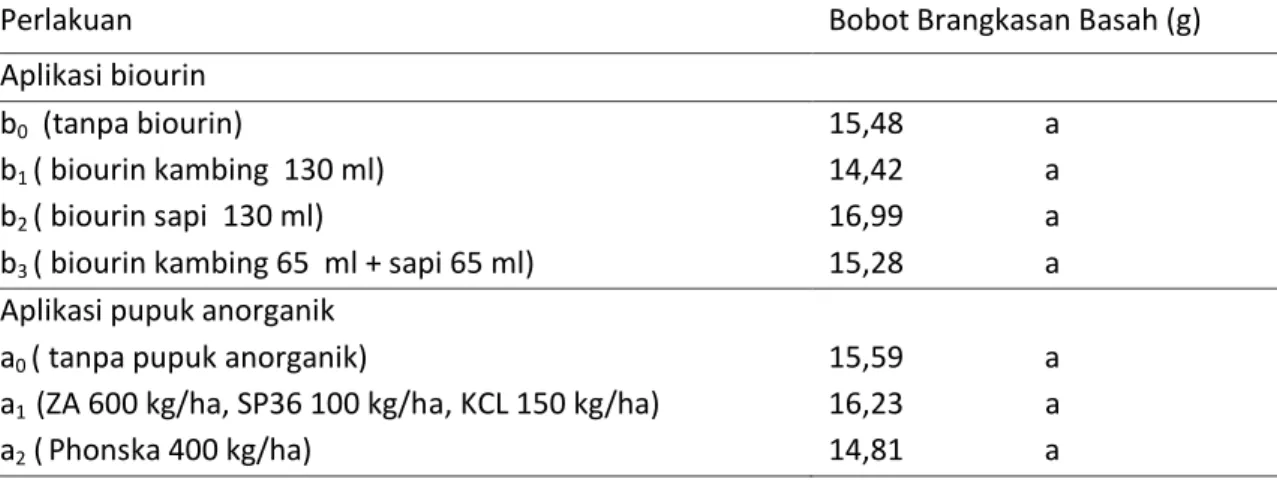 Tabel  5.  Pengaruh  Mandiri    Pemberian  Biourin  dan  Pupuk  Anorganik  terhadap  Bobot  Brangkasan Basah (g) 