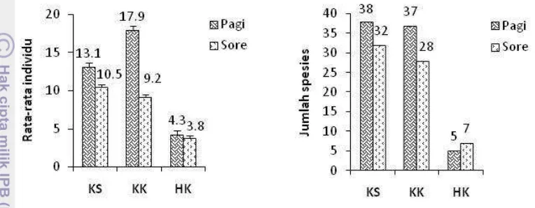 Gambar 7  Rata-rata individu dan jumlah spesies serangga polinator yang 