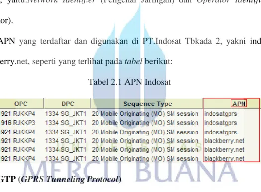 Tabel 2.1 APN Indosat 