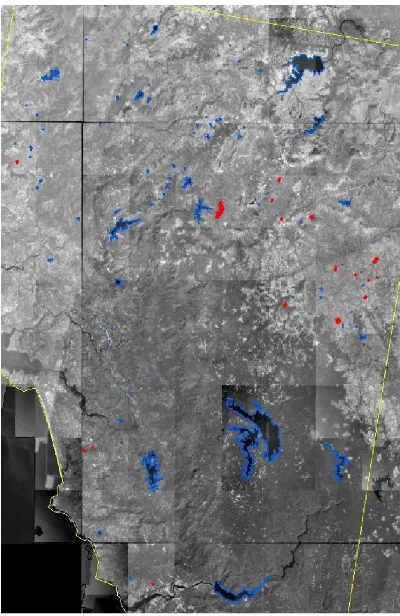 Figure 6. Hexagon image with water bodies shown in red colour (digitized from Hexagon KH9 data of 1973) and blue polygons (new waterbodies digitized from Cartosat-